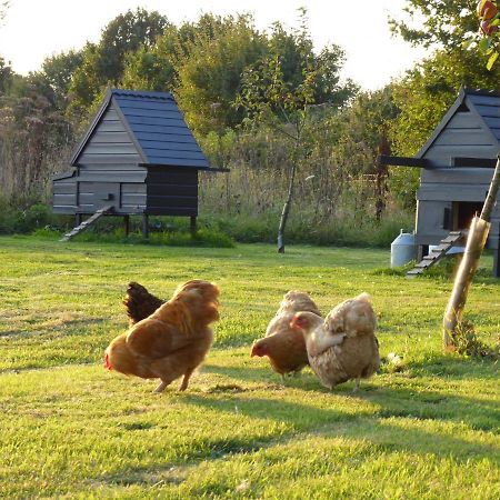 The Oaks Glamping - Magpie Half Shepherds Hut Hotel Colkirk ภายนอก รูปภาพ
