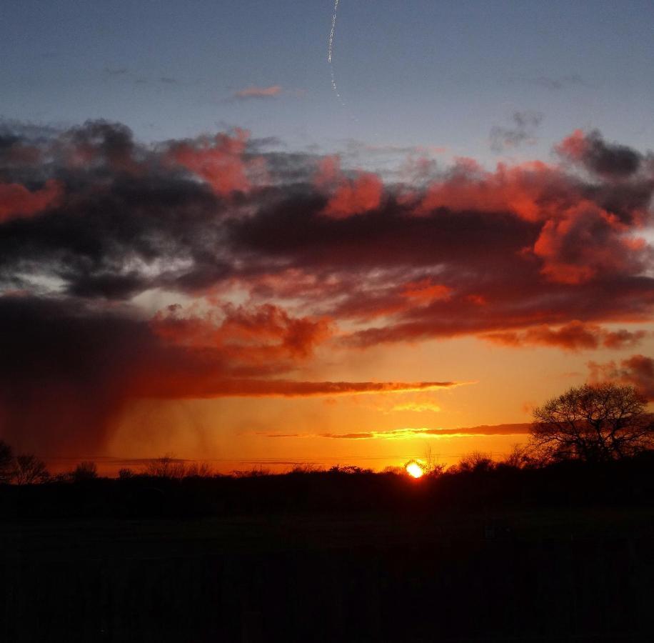 The Oaks Glamping - Magpie Half Shepherds Hut Hotel Colkirk ภายนอก รูปภาพ