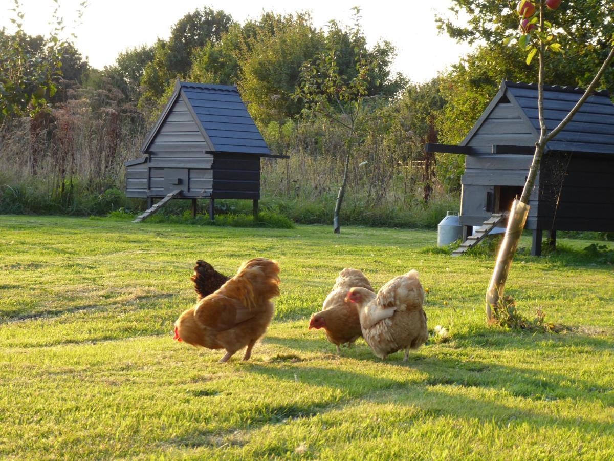 The Oaks Glamping - Magpie Half Shepherds Hut Hotel Colkirk ภายนอก รูปภาพ
